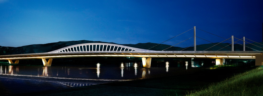 Ponting second at Dunabe Bridge competition in Linz