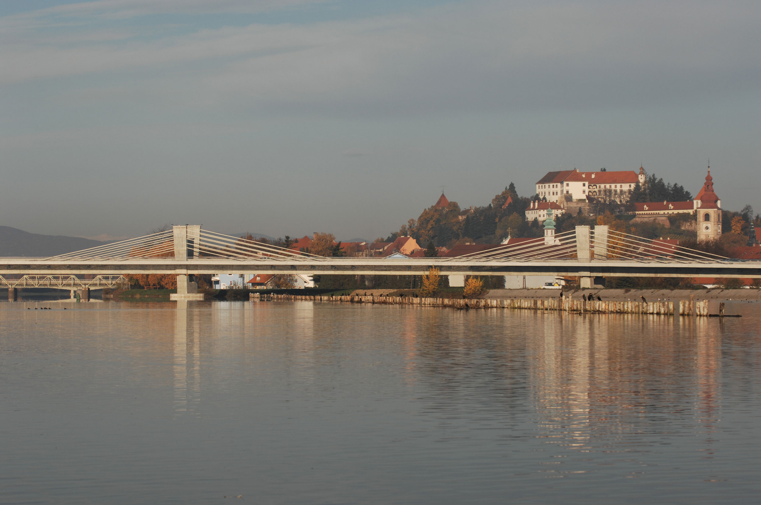 Puh Bridge over Drava in Ptuj
