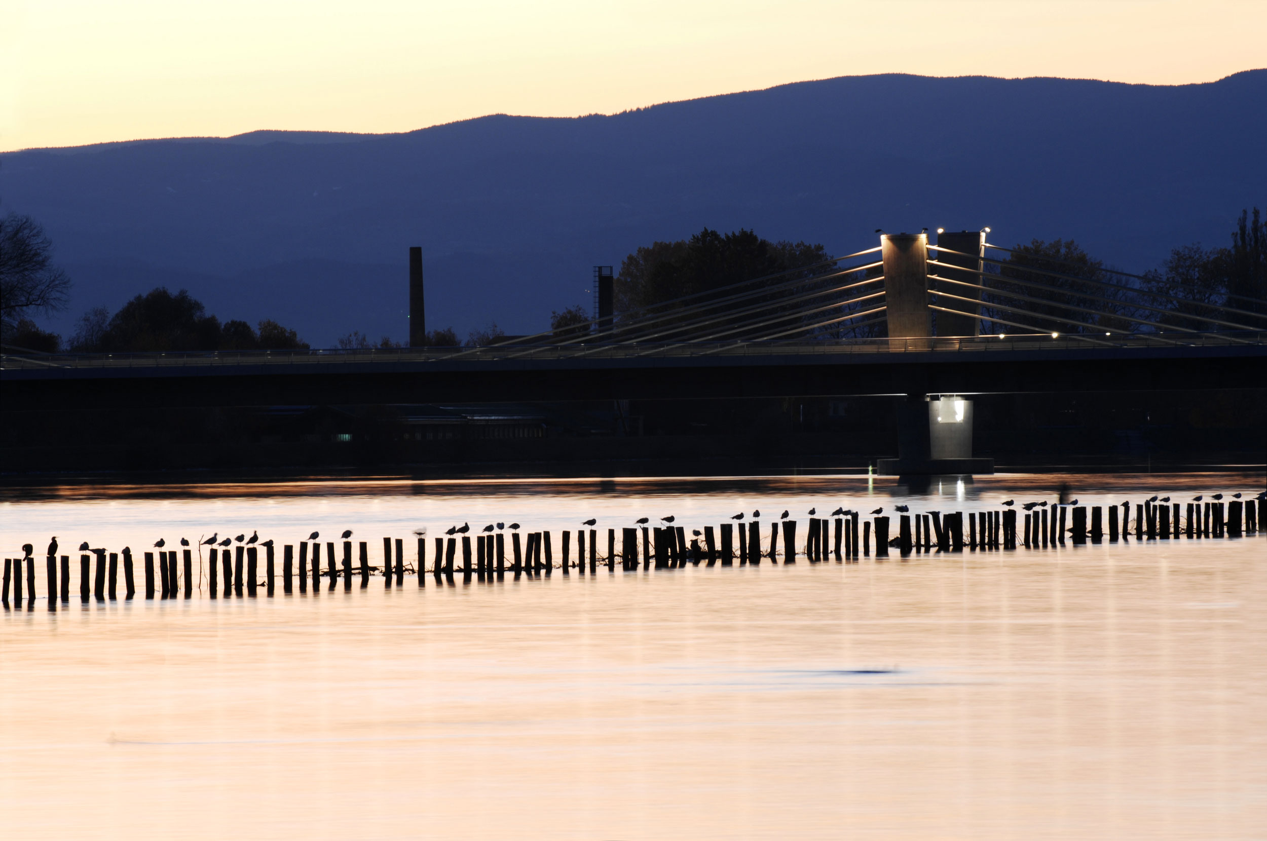Puh Bridge over Drava in Ptuj
