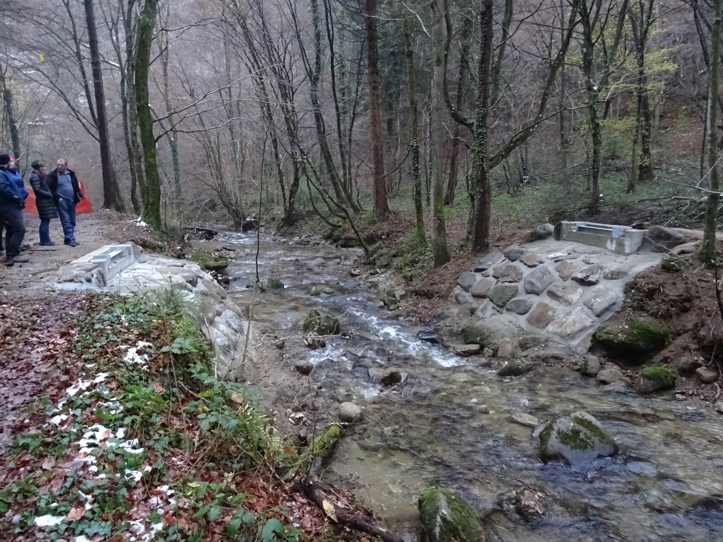 Štirje leseni mostovi v Vintgarju