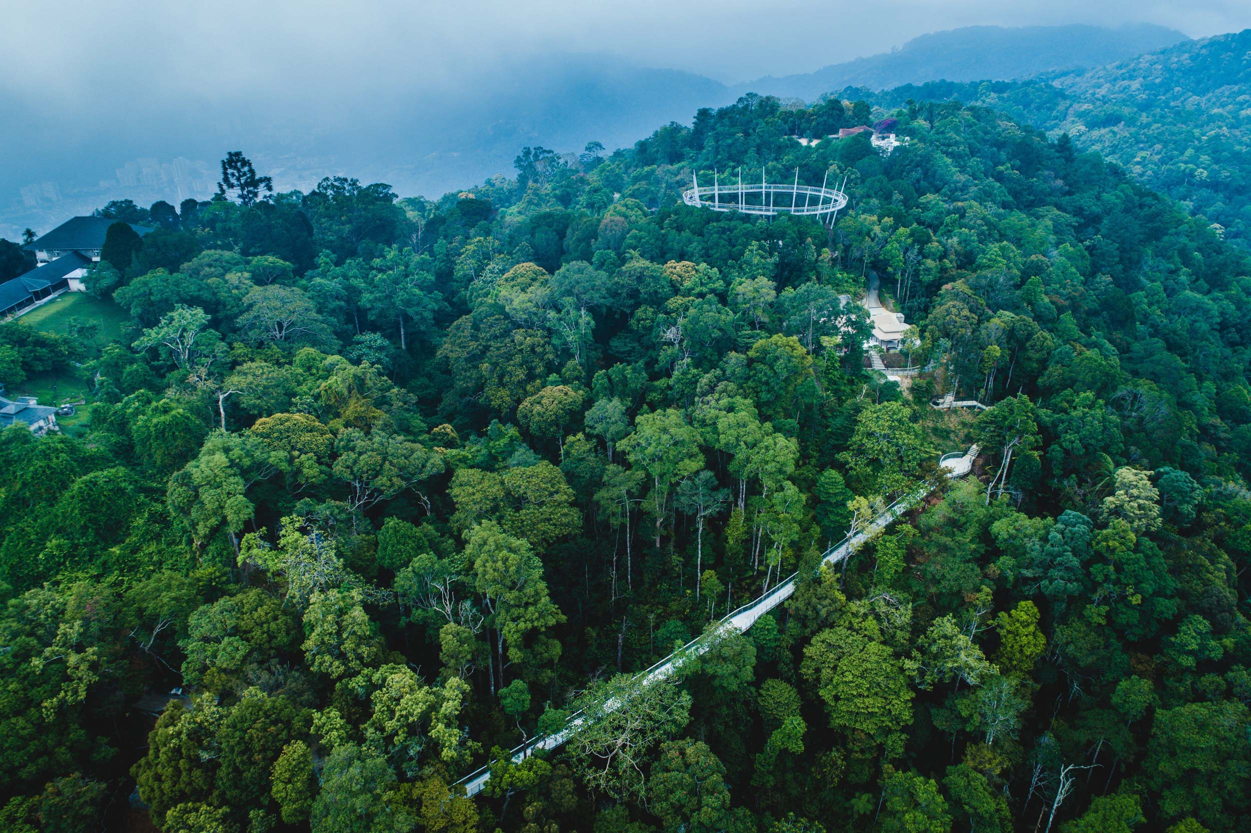 Most ˝Langur Way Canopy Walk, Penang˝